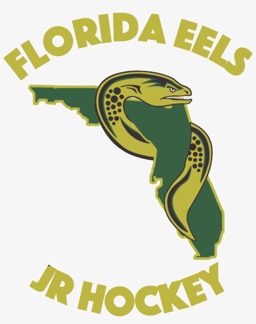 Not Like Theyve Stopped The Florida Eels Or Bangkok - Florida Eels Logo, transparent png download