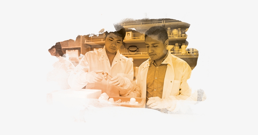 Founded In 1975, The Usc Leonard Davis School Of Gerontology - University Of Southern California, transparent png download
