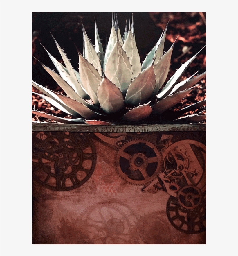 Cog-native - Mulan Vintage Storybook Necklace, transparent png download