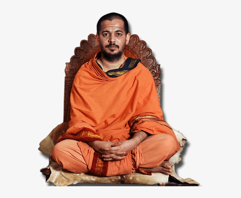 Banner-slide - Cat, transparent png download