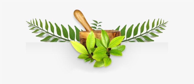 Connect To Us - Ayurveda Png, transparent png download