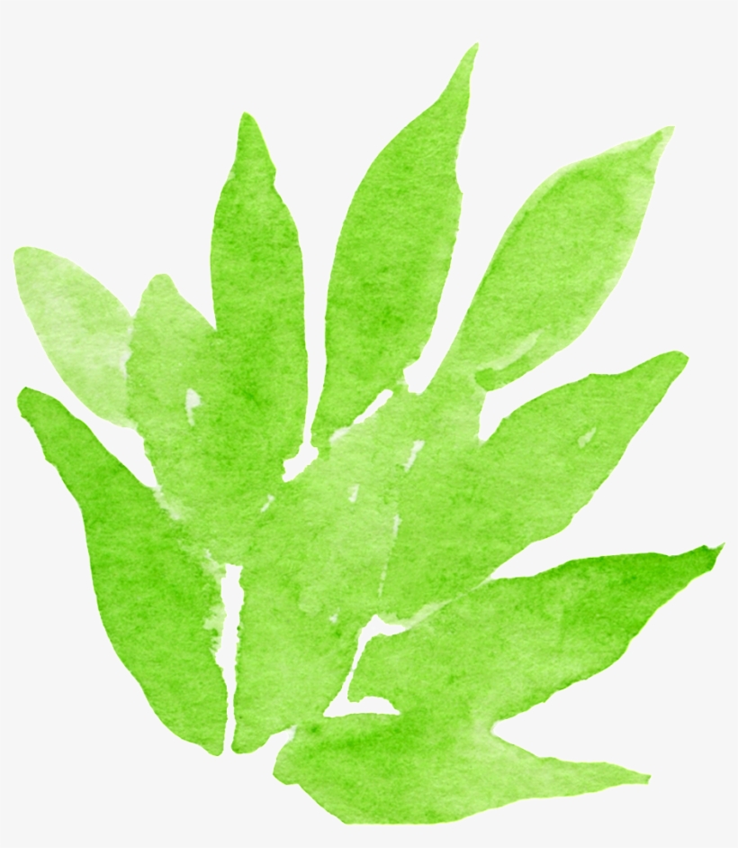 Dense Leaf Transparent Decorative - Watercolor Painting, transparent png download