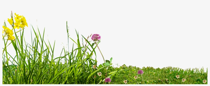 Climate Change, transparent png download