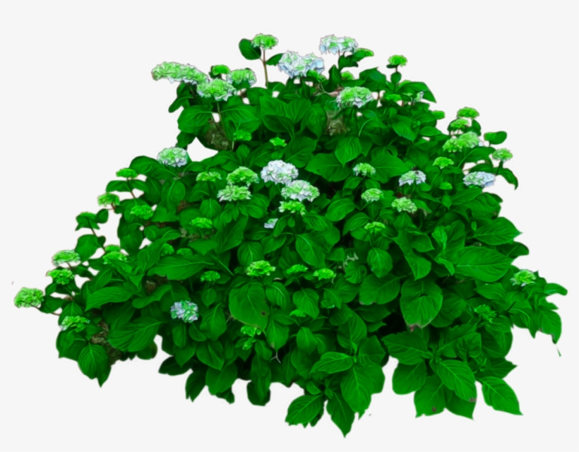 New All 2018 Png Download - Bushes With Flowers Png, transparent png download