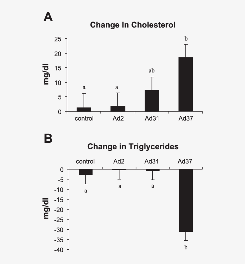 Change In Serum Cholesterol Levels From Baseline To - Diagram, transparent png download