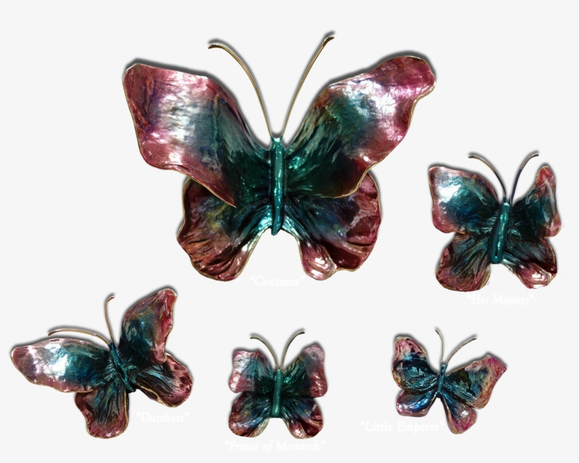 Ron & Sheila Ruiz Indigo Butterfly Exposures International - Exposures International Gallery, transparent png download