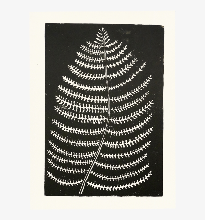 Fern 500x@2x 800×800 Pixels - Guinness, transparent png download