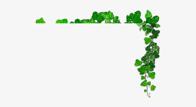 Herba Png - Dasra Png, transparent png download
