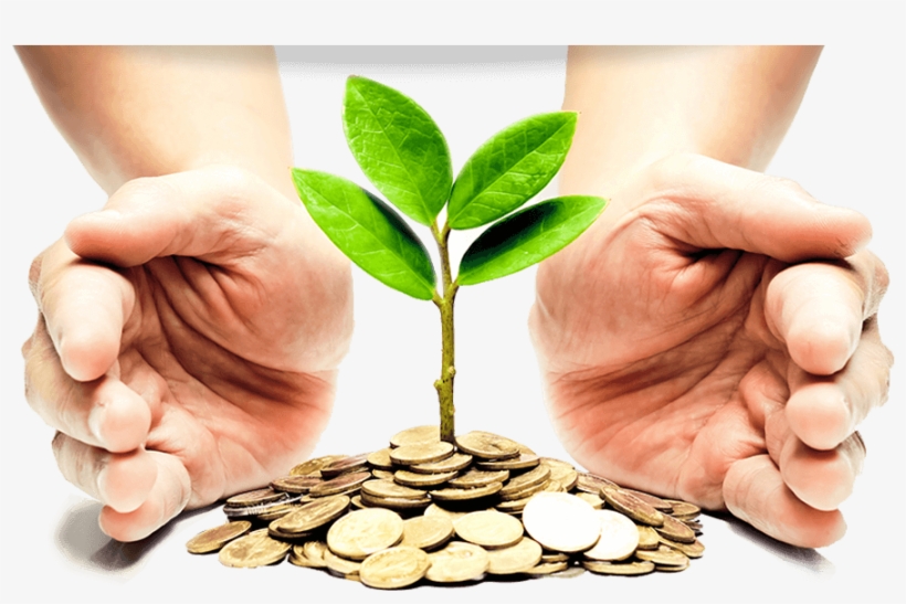 Corporate India Predominantly Has Taken To Traditional - De Empleado A Inversor, transparent png download