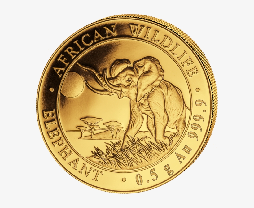 2016 20 Sh 1/50 Oz - Gold Somalian Elephant 2018, transparent png download