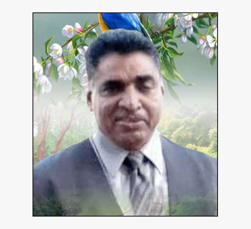 Obituary Of Vishnu Narine - Beautiful Songbirds Bluebirds 10cm Round Absorbent, transparent png download
