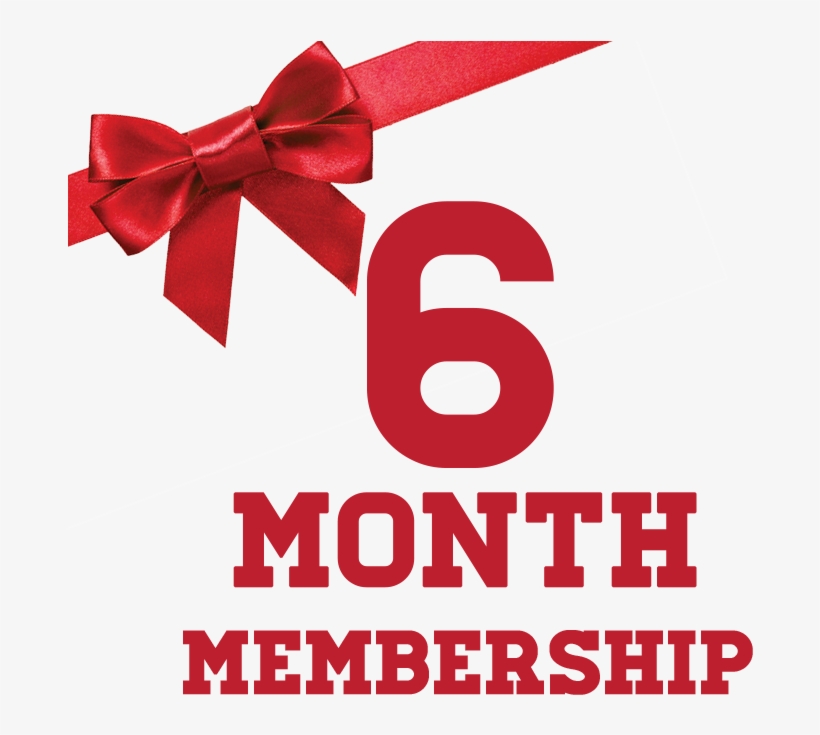 Pay $214 For A Limited Time Offer & Save On The Enrollment - Cheerleading, transparent png download