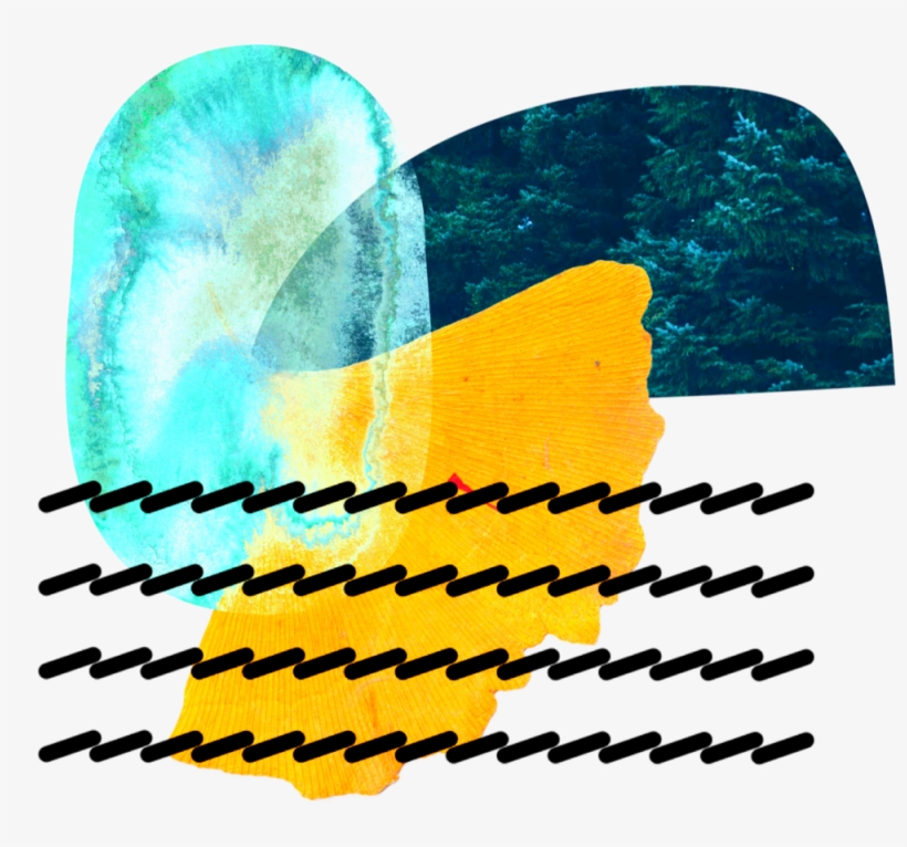 Congraphic1 08 03 - Pop Up Sale, transparent png download