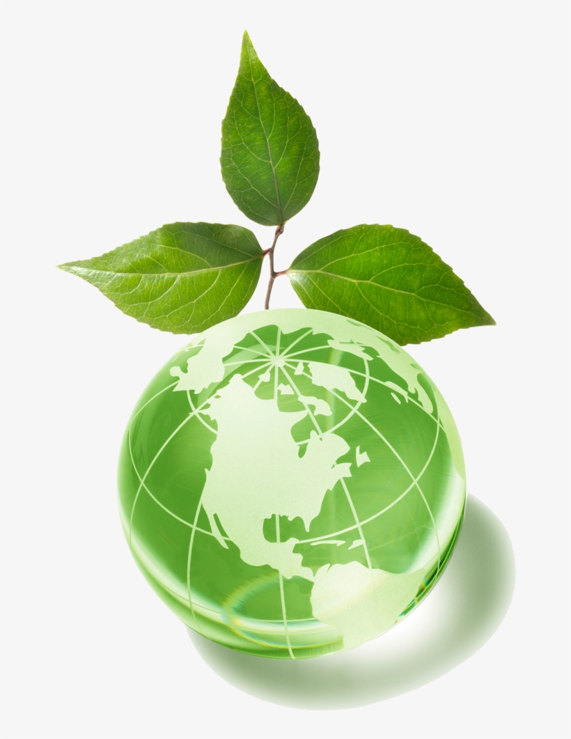 Globe With Green Leaf, transparent png download