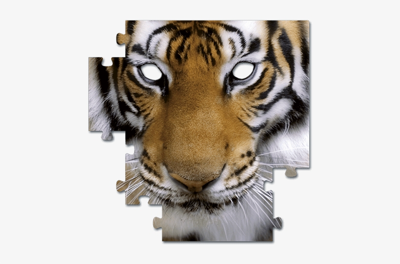 J&m Furniture Premium Acrylic Photographic Print, transparent png download