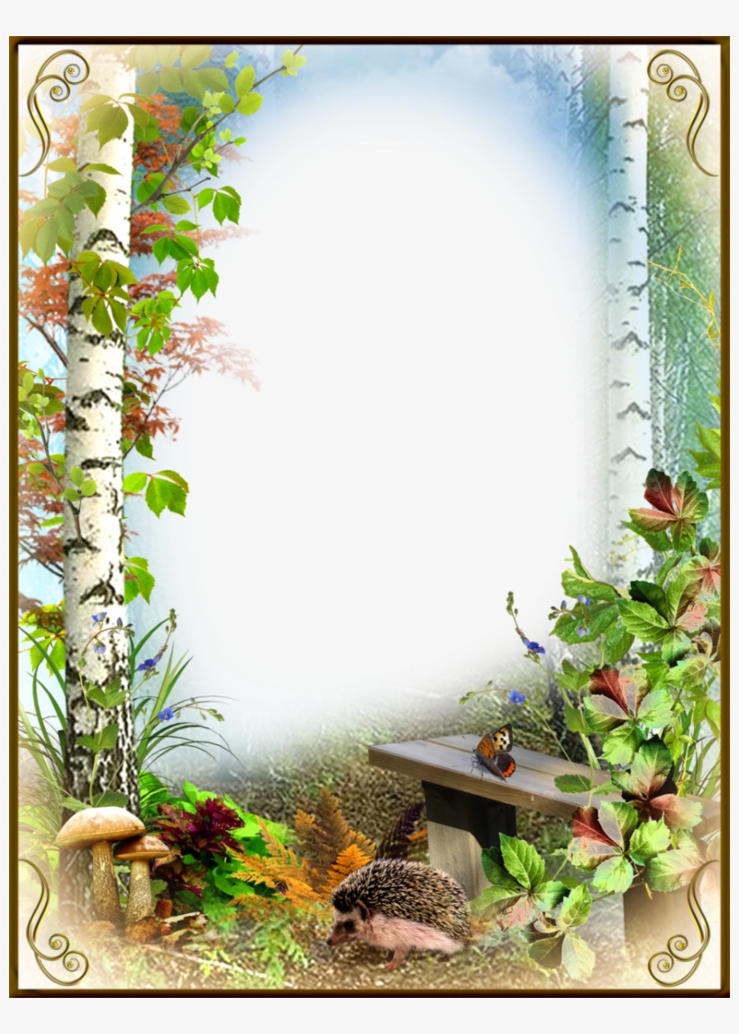 Cadre Image Nature, transparent png download