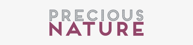 Precious Nature - Alfaparf Precious Nature Oil With Grape And Lavender, transparent png download