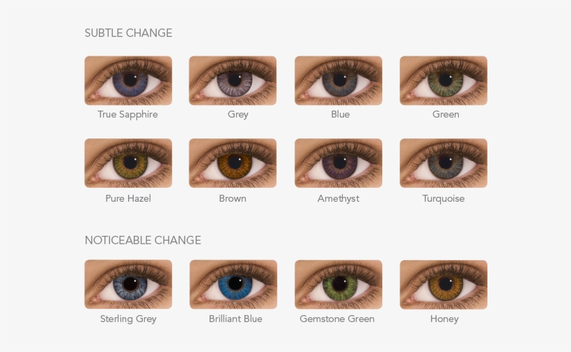 Colour Palette - Dailies Contact Lenses Colors, transparent png download