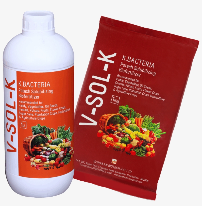 V Sol K - Secret Powers Of Colorful Foods (buch), transparent png download