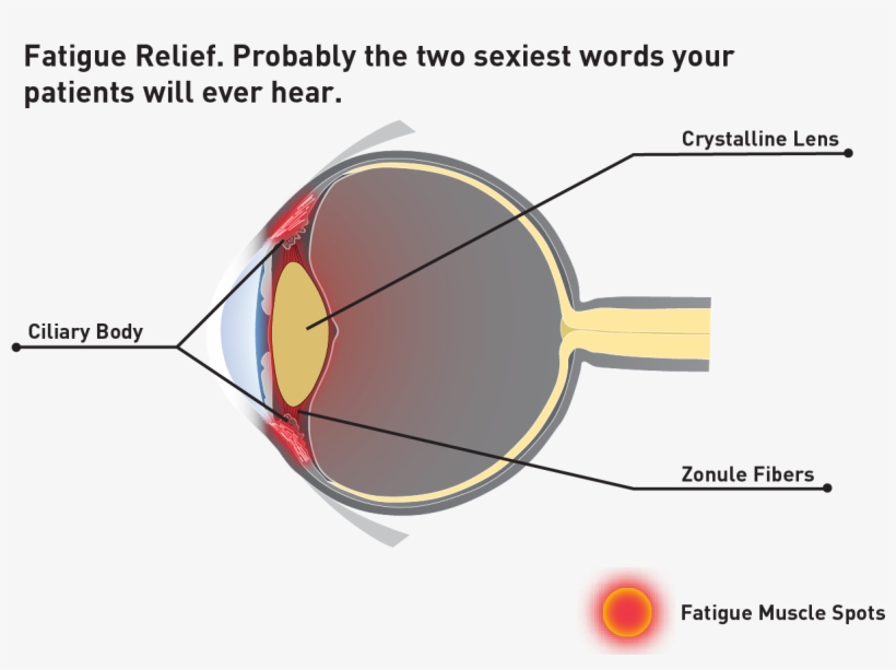 It's A Single Vision Fatigue Relief Lens That Relieves - Diagram, transparent png download