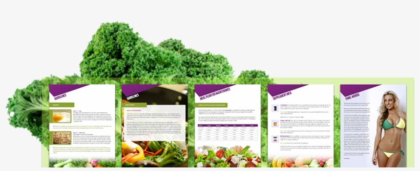 Eating-plan - N.l. Chrestensen Erfurter N.l. Chrestensen Saatgut, transparent png download