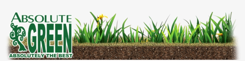 Envisioned Logo - Spotted Spurge, transparent png download