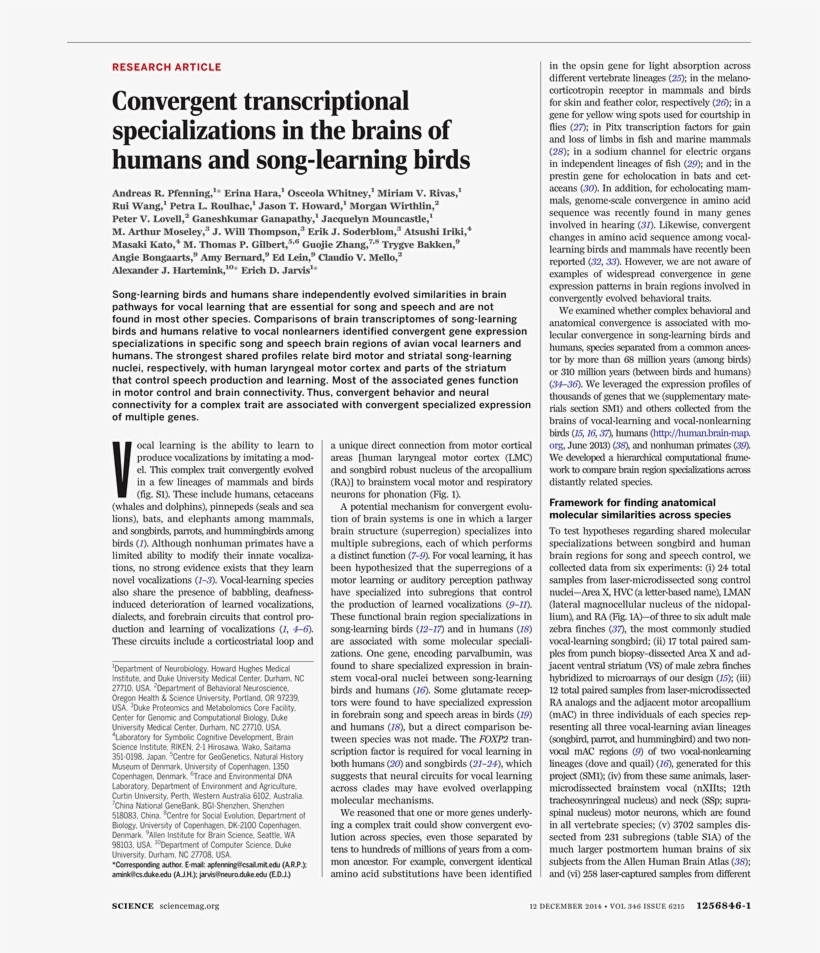 Powerhouse Mechanic, transparent png download