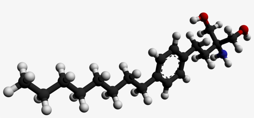 Ocrelizumab 3d Model, transparent png download