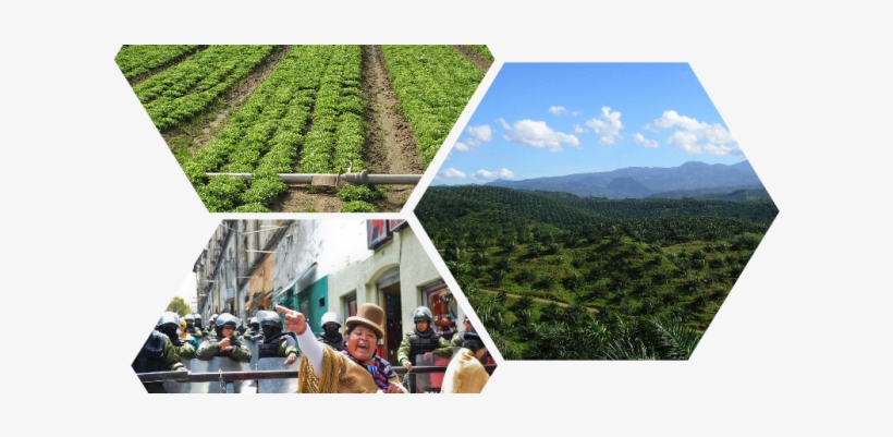 The World Bank Agriculture For Action Plan - Action Plan, transparent png download