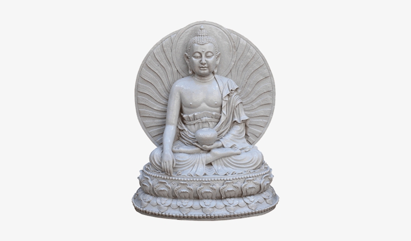 About - Medicine, transparent png download