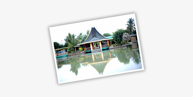 Grass Garden Resort And Villas Inc - Reflection, transparent png download