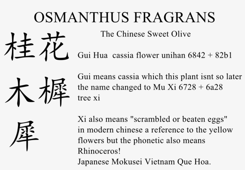 Osmathus Saga - Chinese Character For Flower, transparent png download