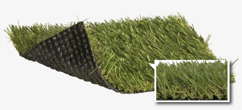 Description - Artificial Turf, transparent png download