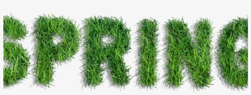 Spring Lawn Treatment In Cheshire - Classic Sets: Bruce Springsteen, transparent png download