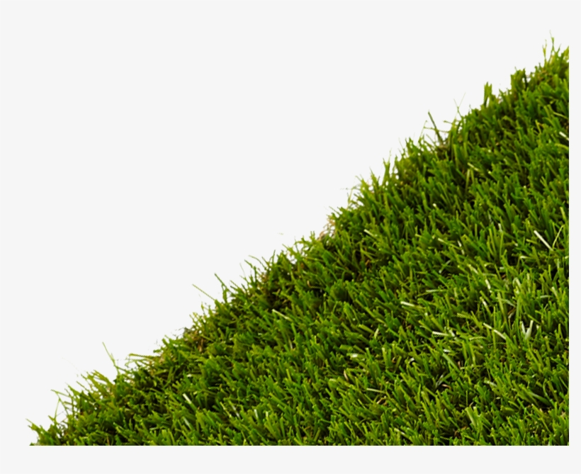 Need Help - Lawn, transparent png download