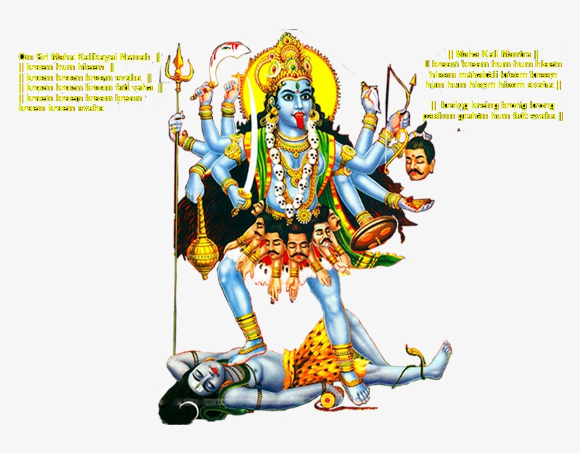 A House Of Complete Vastu And Corporate Astrology - Super Duper, Inc., transparent png download