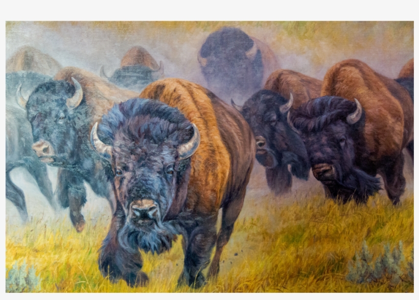 Gallery - Oil Painting, transparent png download