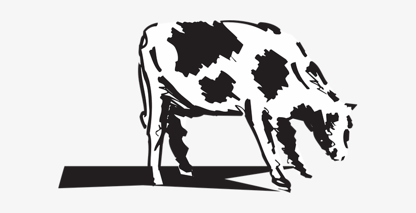 Cow, Grazing, Livestock, Cattle, Farm - Dessin Boeuf Hd, transparent png download