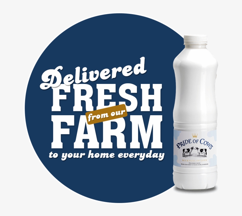 Pride Of Cows Png, transparent png download