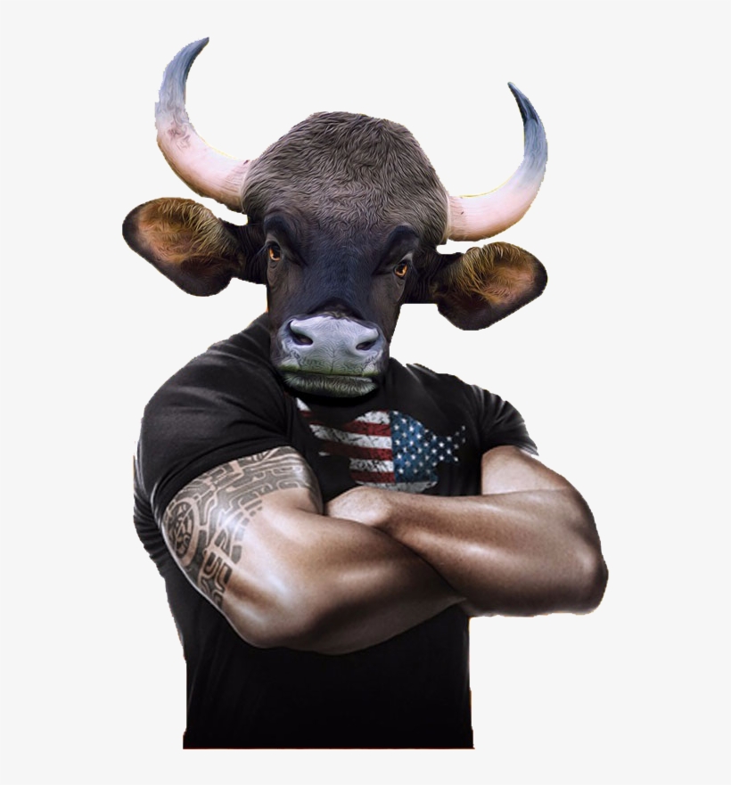Options Research & Consultancy India Ltd - Dwayne Douglas Johnson The Rock, transparent png download