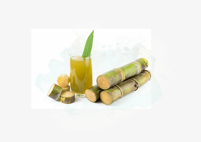 Geevani Sources The Best Tasting, Highest Quality Sugar - Sugar Cane Wine, transparent png download