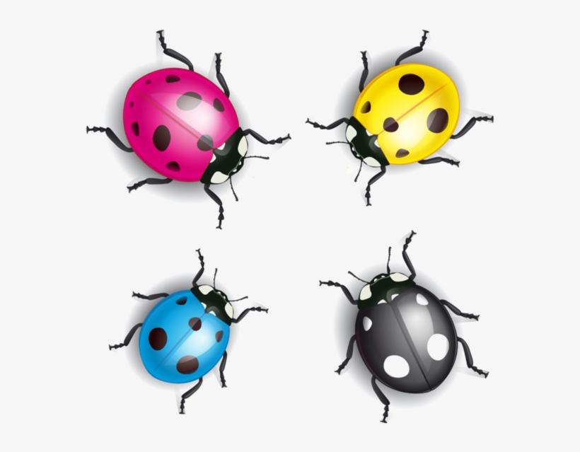 Coccinelles Lady Bugs Pinterest Beautiful Belle And - Etui En Pu Magnetique Pour Samsung Galaxy J5 Sm-j500f, transparent png download