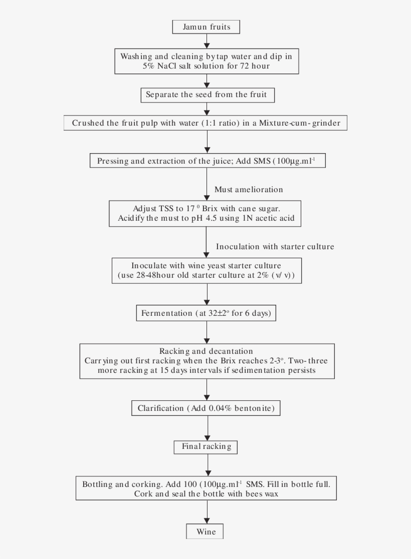 The Flow Chart For Making Jamun Wine - Document, transparent png download