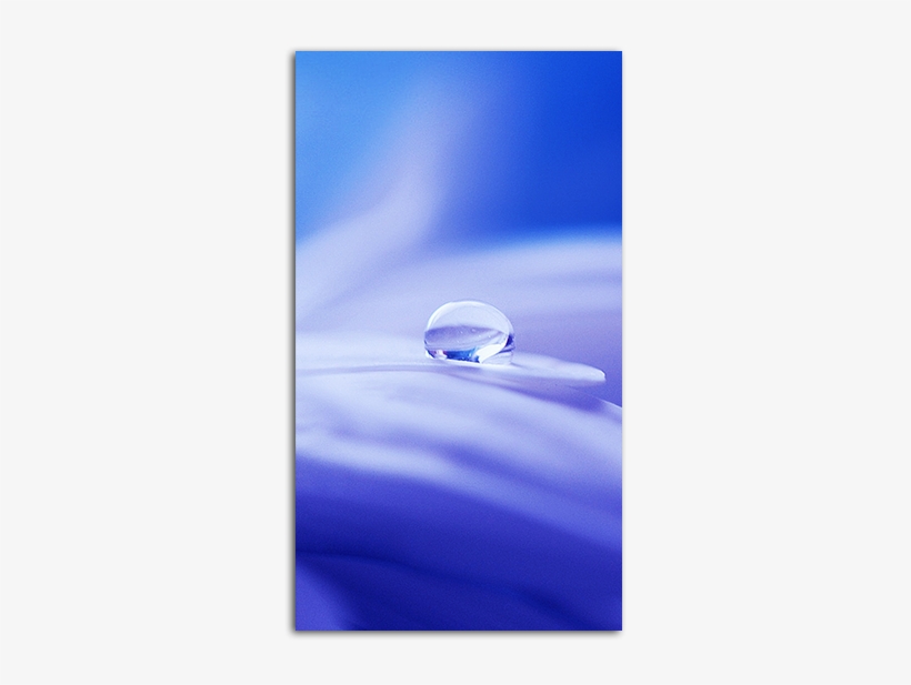 Pure Mobile Wallpaper Big - Transparent Wallpaper For Mobile, transparent png download