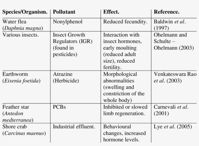 -examples Of Effects Of Edcs On Invertebrates - Invertebrate, transparent png download
