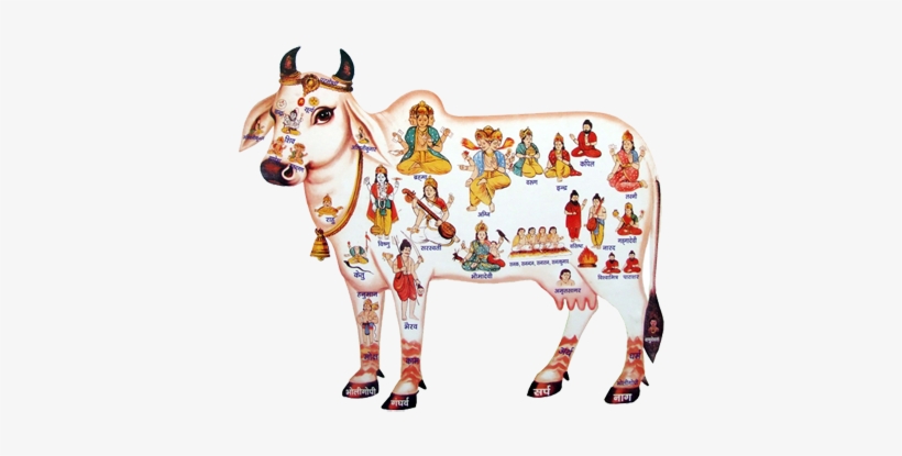 Leave A Reply Cancel Reply - Holy Cow, transparent png download