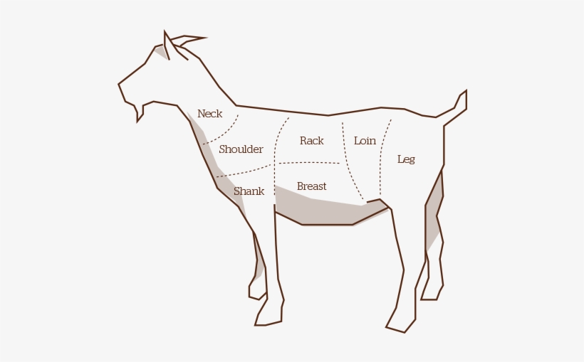 Goat - Drawing, transparent png download