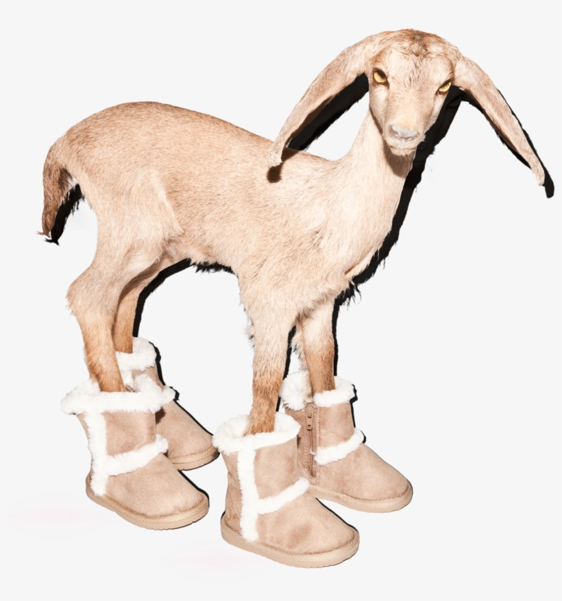 Goat, transparent png download