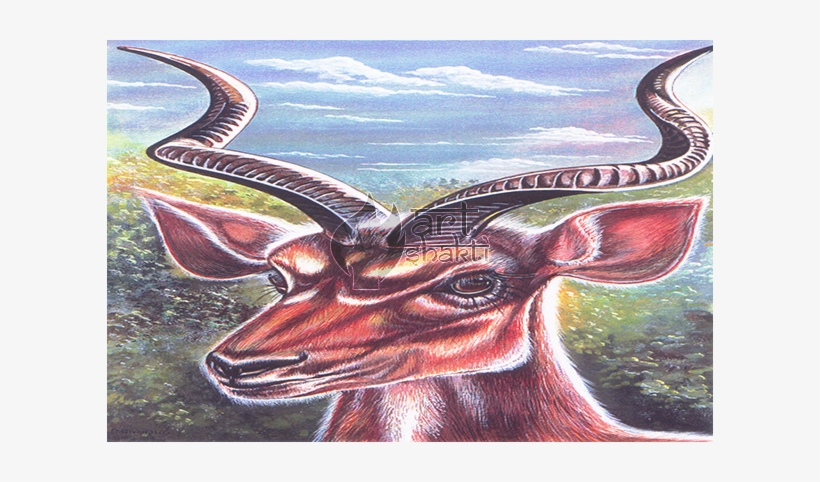 Antelope Watercolour Painting - Impala, transparent png download