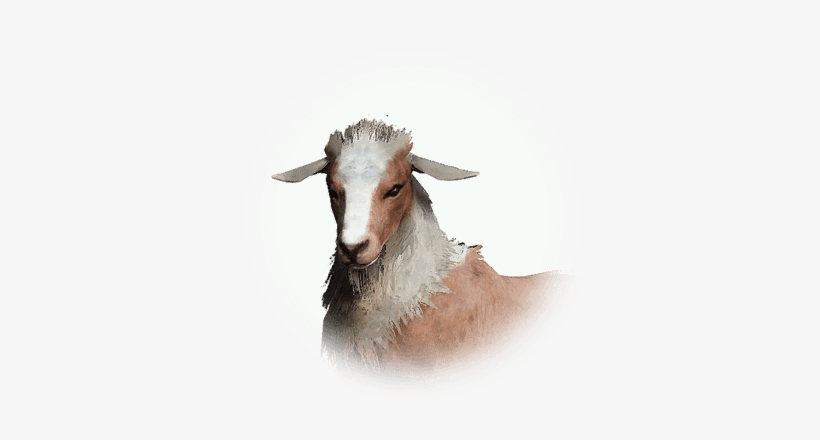 Icon - Portable Network Graphics, transparent png download